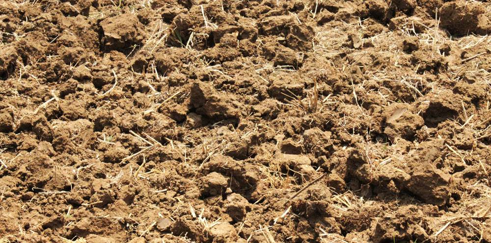 Even coverage on row crop ground in Erath County