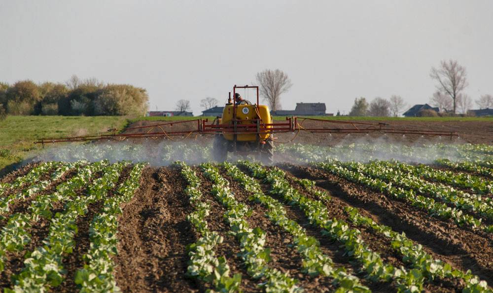 Soil sample pull ahead of a fall fertility program